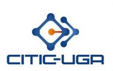 Logo CITIC-UGR